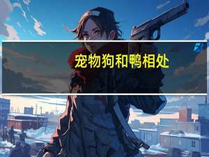 宠物狗和鸭相处