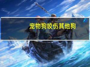 宠物狗咬伤其他狗