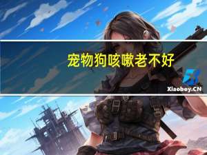 宠物狗咳嗽老不好