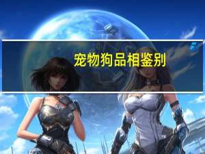 宠物狗品相鉴别