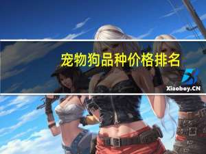 宠物狗品种价格排名