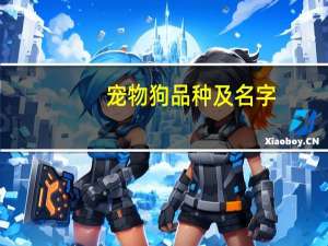 宠物狗品种及名字