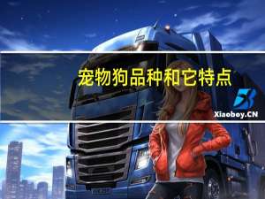 宠物狗品种和它特点