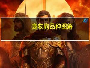 宠物狗品种图解