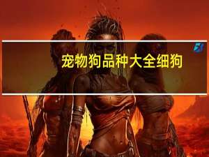 宠物狗品种大全细狗