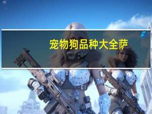 宠物狗品种大全萨