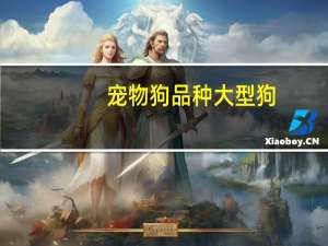 宠物狗品种大型狗