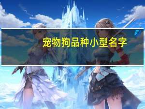 宠物狗品种小型名字