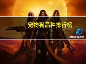 宠物狗品种排行榜