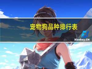 宠物狗品种排行表