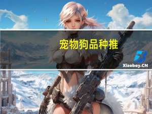 宠物狗品种推