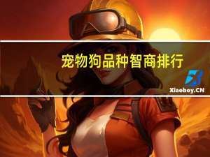 宠物狗品种智商排行