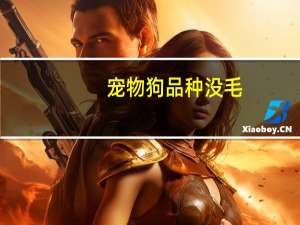 宠物狗品种没毛