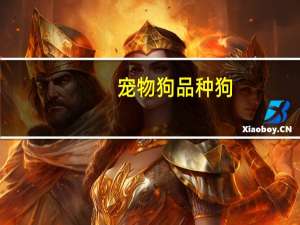 宠物狗品种狗