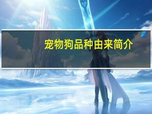 宠物狗品种由来简介