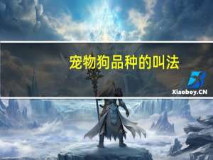 宠物狗品种的叫法
