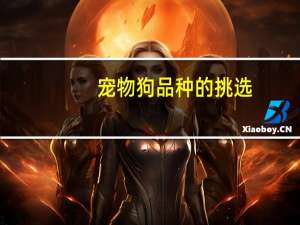宠物狗品种的挑选