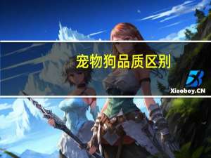 宠物狗品质区别