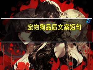 宠物狗品质文案短句