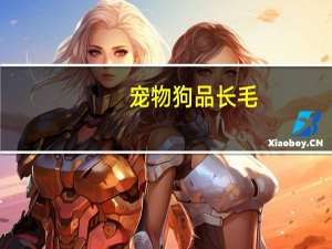 宠物狗品长毛