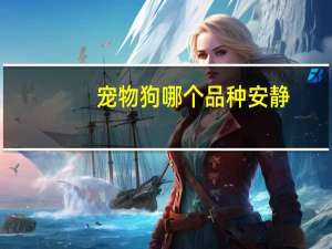 宠物狗哪个品种安静