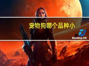 宠物狗哪个品种小