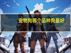 宠物狗哪个品种狗最好