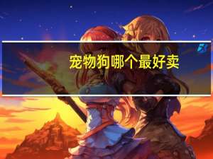 宠物狗哪个最好卖