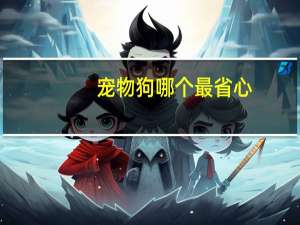 宠物狗哪个最省心