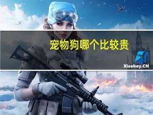 宠物狗哪个比较贵
