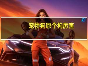 宠物狗哪个狗厉害