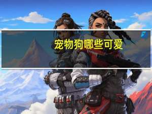 宠物狗哪些可爱