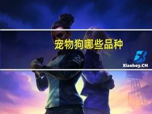 宠物狗哪些品种