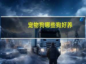 宠物狗哪些狗好养