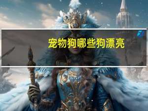 宠物狗哪些狗漂亮