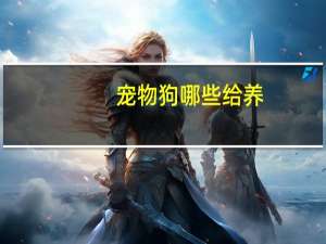 宠物狗哪些给养