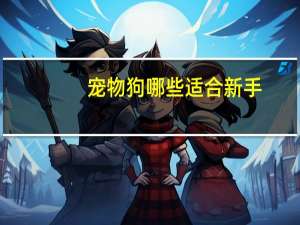 宠物狗哪些适合新手