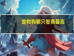 宠物狗哪只智商最高