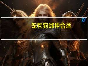 宠物狗哪种合适