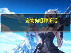 宠物狗哪种听话