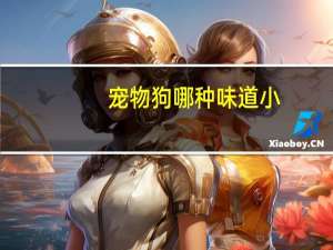宠物狗哪种味道小