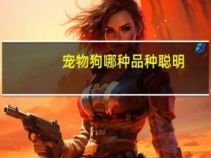 宠物狗哪种品种聪明