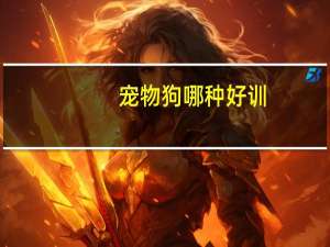 宠物狗哪种好训