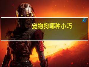 宠物狗哪种小巧