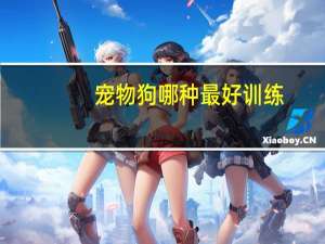 宠物狗哪种最好训练