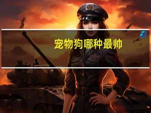 宠物狗哪种最帅