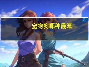 宠物狗哪种最笨