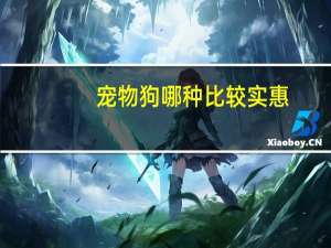 宠物狗哪种比较实惠