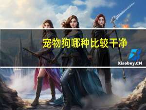 宠物狗哪种比较干净