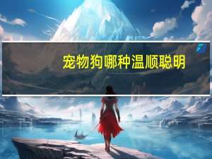 宠物狗哪种温顺聪明